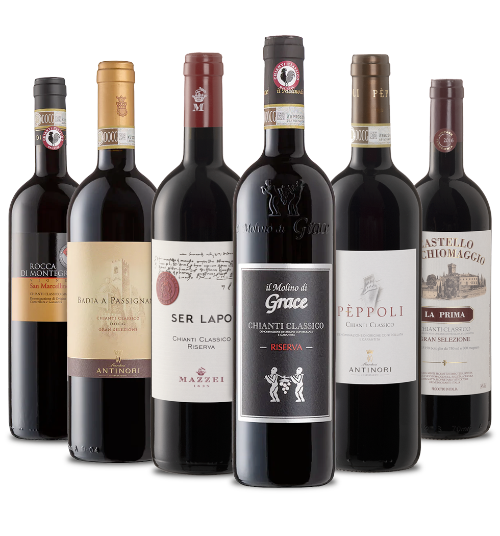Box N 7 - "Bolgheri Experience"