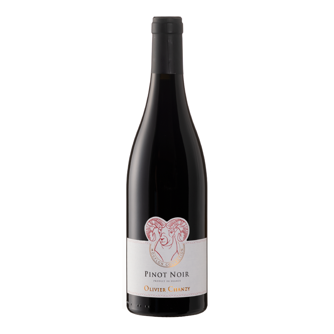 Pinot Noir 2020 - Olivier Chanzy - Bourgogne